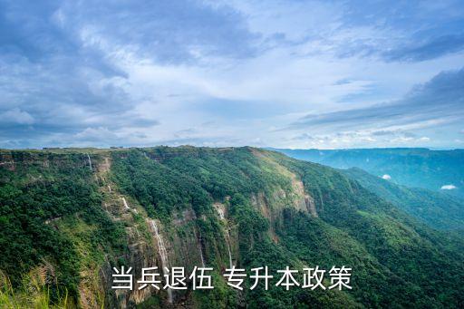 當兵退伍 專升本政策