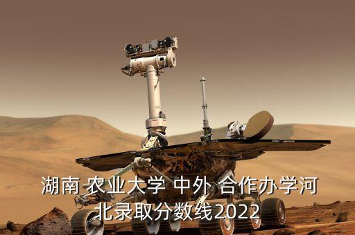  湖南 農(nóng)業(yè)大學(xué) 中外 合作辦學(xué)河北錄取分?jǐn)?shù)線(xiàn)2022