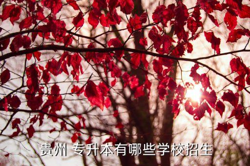  貴州 專升本有哪些學(xué)校招生
