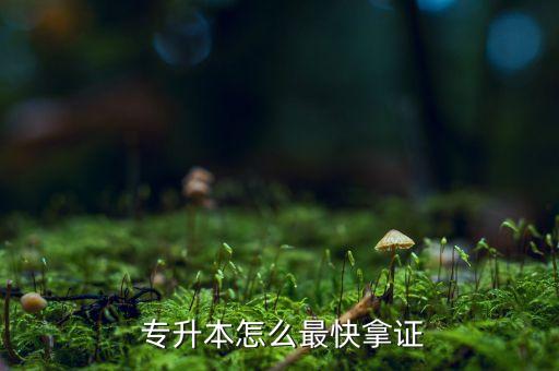  專(zhuān)升本怎么最快拿證