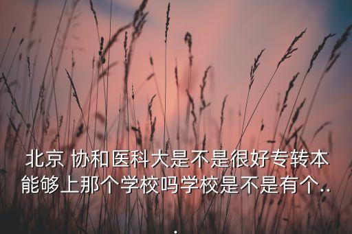  北京 協(xié)和醫(yī)科大是不是很好專轉本能夠上那個學校嗎學校是不是有個...