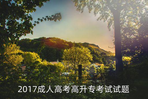 2017成人高考高升?？荚囋囶}