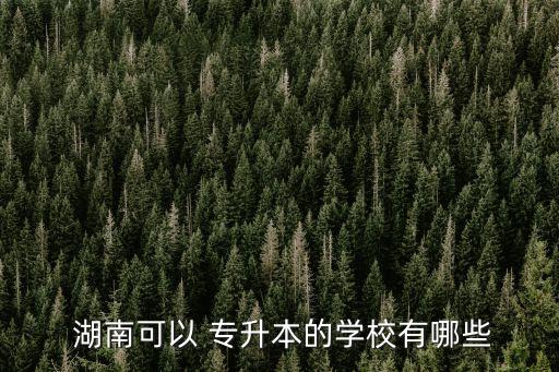  湖南可以 專(zhuān)升本的學(xué)校有哪些