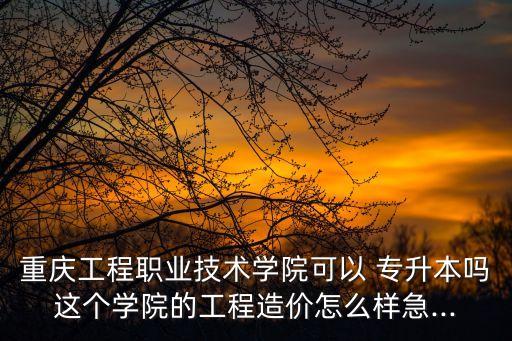 重慶工程職業(yè)技術學院可以 專升本嗎這個學院的工程造價怎么樣急...