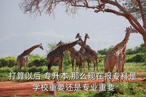 打算以后 專升本,那么現(xiàn)在報(bào)?？剖?學(xué)校重要還是專業(yè)重要
