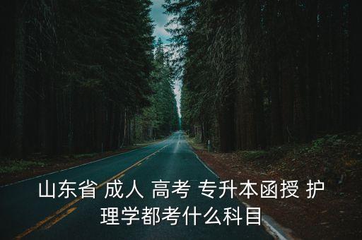 山東省 成人 高考 專升本函授 護(hù)理學(xué)都考什么科目