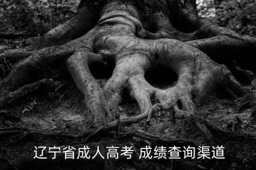  遼寧省成人高考 成績(jī)查詢(xún)渠道