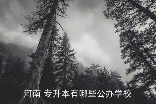 河南 專升本有哪些公辦學校