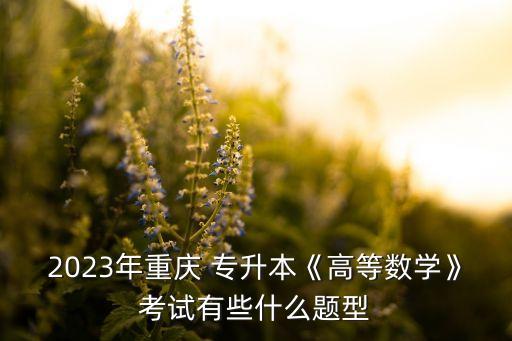 2023年重慶 專升本《高等數(shù)學》考試有些什么題型