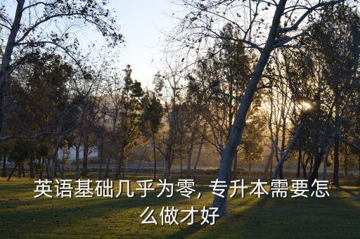  英語基礎幾乎為零, 專升本需要怎么做才好