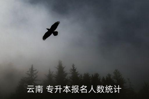 云南 專升本報(bào)名人數(shù)統(tǒng)計(jì)