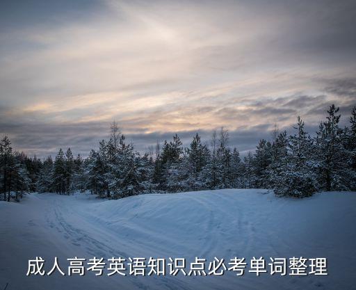 成人高考英語知識點必考單詞整理