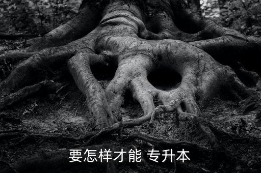 專(zhuān)升本的辦法,有沒(méi)有快速專(zhuān)升本的辦法