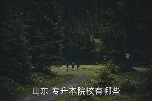 2017年統(tǒng)考專升本學(xué)校,專升本統(tǒng)考可以報(bào)外省的學(xué)校嗎?