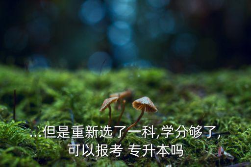 選修掛科可以專升本嗎,四川專升本報名選修掛科怎么辦