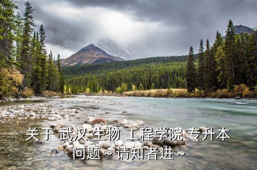 關(guān)于 武漢 生物 工程學(xué)院 專升本問題～請知者進～