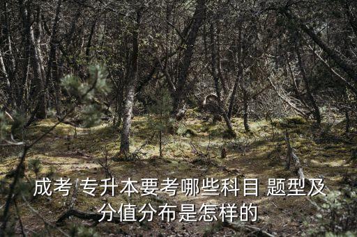  成考 專(zhuān)升本要考哪些科目 題型及分值分布是怎樣的