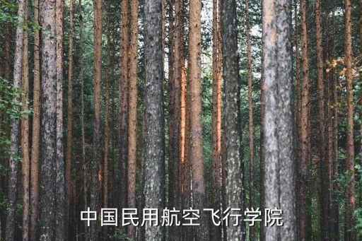 中國民用航空飛行學(xué)院