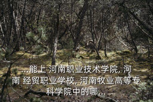 ...能上 河南職業(yè)技術(shù)學(xué)院, 河南 經(jīng)貿(mào)職業(yè)學(xué)校, 河南牧業(yè)高等專科學(xué)院中的哪...