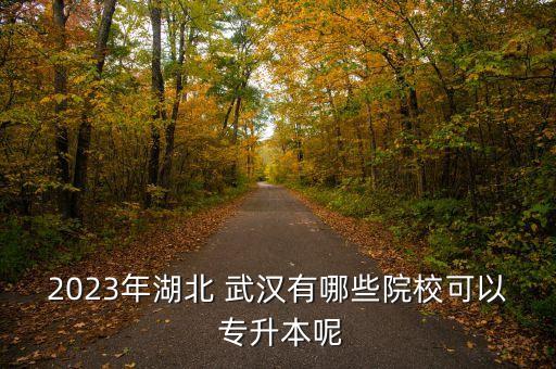 2023年湖北 武漢有哪些院?？梢?專升本呢
