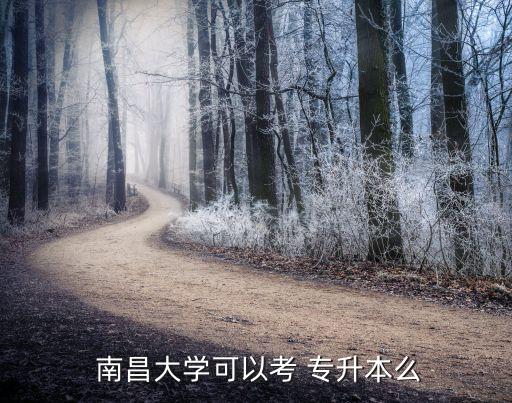  南昌大學可以考 專升本么