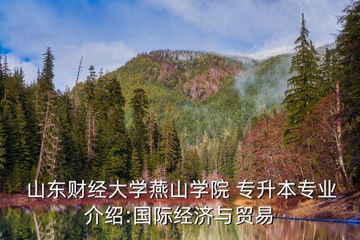 山東專升本財務(wù)會計