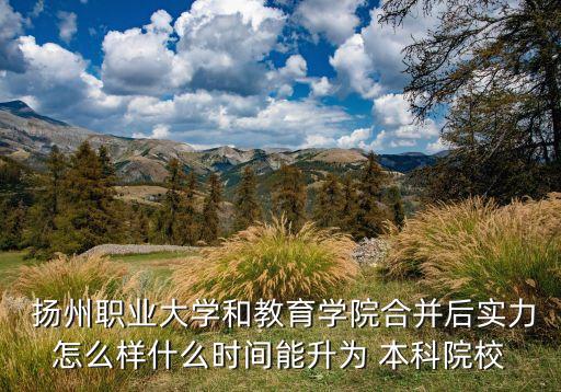  揚州職業(yè)大學和教育學院合并后實力怎么樣什么時間能升為 本科院校