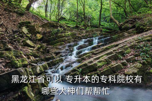  黑龍江省可以 專(zhuān)升本的專(zhuān)科院校有哪些大神們幫幫忙
