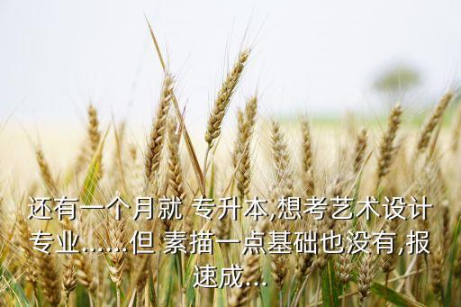 還有一個(gè)月就 專升本,想考藝術(shù)設(shè)計(jì)專業(yè)……但 素描一點(diǎn)基礎(chǔ)也沒(méi)有,報(bào)速成...