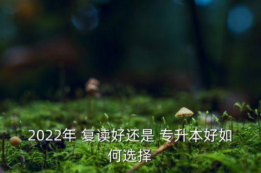 復(fù)讀還是繼續(xù)專(zhuān)升本,復(fù)讀一年和專(zhuān)升本哪個(gè)更劃算