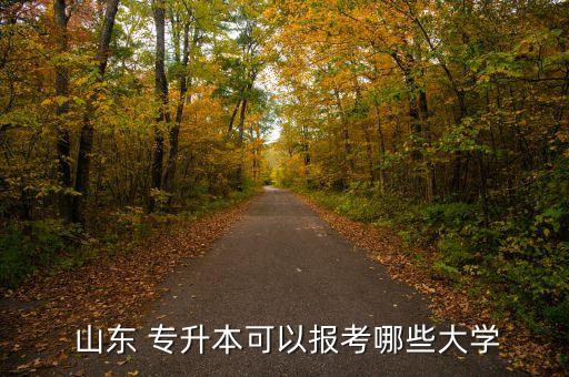 2015年山東專(zhuān)升本學(xué)校名單