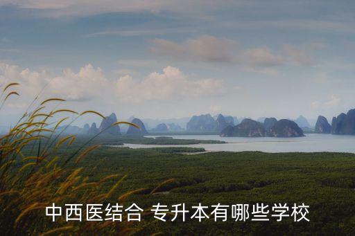 中西醫(yī)結(jié)合 專升本有哪些學(xué)校