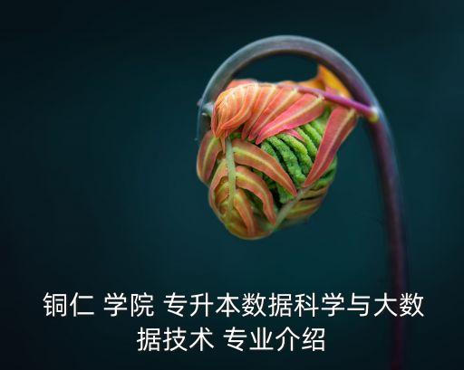  銅仁 學院 專升本數(shù)據(jù)科學與大數(shù)據(jù)技術 專業(yè)介紹