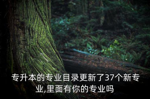  專升本的專業(yè)目錄更新了37個新專業(yè),里面有你的專業(yè)嗎
