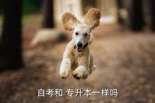 自考和 專升本一樣嗎