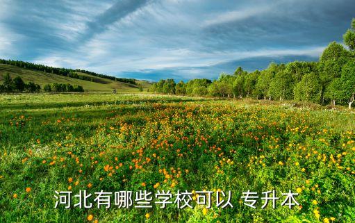 河北有哪些學?？梢?專升本