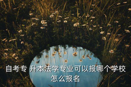 自考專 升本法學專業(yè)可以報哪個學校怎么報名