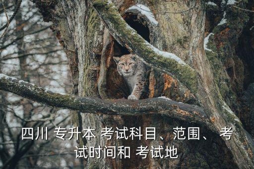 四川 專升本 考試科目、范圍、 考試時間和 考試地