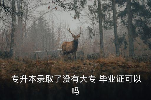 專(zhuān)升本必須要畢業(yè)證嗎