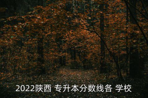 2022陜西 專升本分?jǐn)?shù)線各 學(xué)校