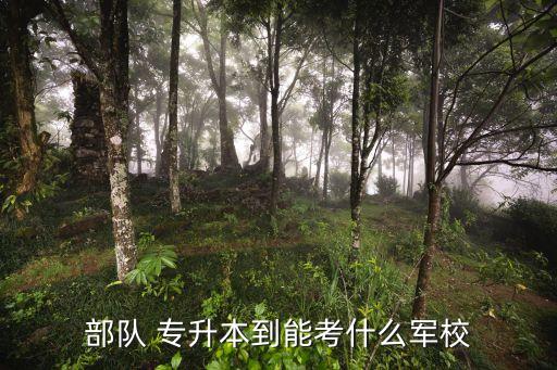 武警部隊有專升本嗎