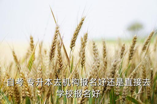 自考 專升本去機(jī)構(gòu)報(bào)名好還是直接去學(xué)校報(bào)名好