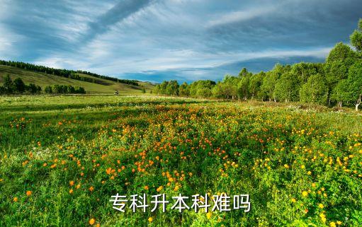 ?？粕究齐y嗎