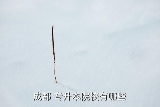 清華大學(xué)理學(xué)院專升本,專升本可以考清華大學(xué)嗎
