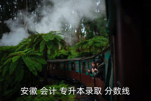 安徽 會計 專升本錄取 分數(shù)線