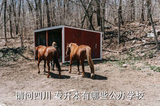 請問四川 專升本有哪些公辦學(xué)校