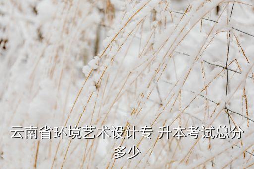 云南省環(huán)境藝術設計專 升本考試總分多少