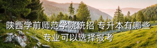 陜西學(xué)前師范學(xué)院統(tǒng)招 專升本有哪些專業(yè)可以選擇報(bào)考