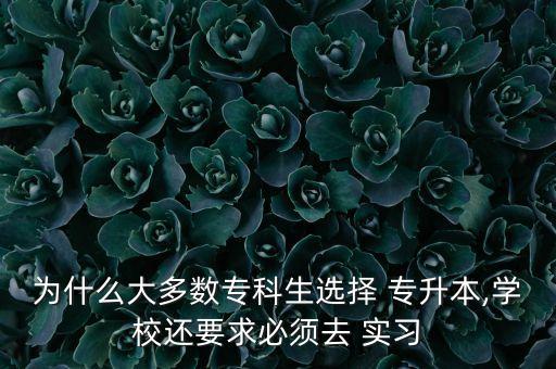 專升本實習,2023統(tǒng)招專升本