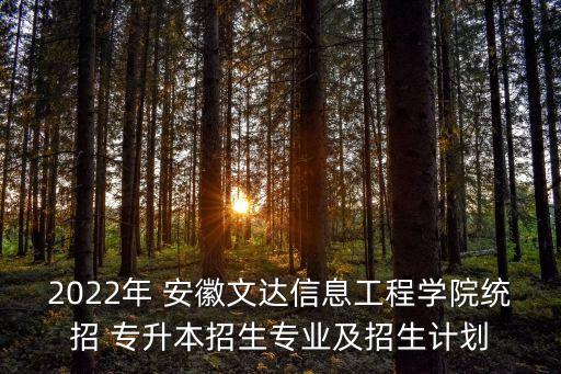 2022年 安徽文達信息工程學(xué)院統(tǒng)招 專升本招生專業(yè)及招生計劃
